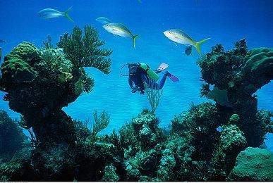 传闻华纳兄弟考虑出售自家WB Games股份